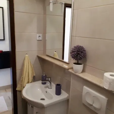 Apartment Baskotin Pucisca