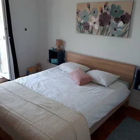 Apartment Baskotin *